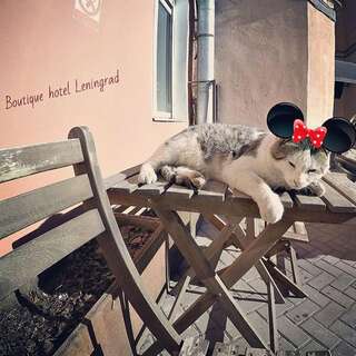 Гостиница Ленинград Санкт-Петербург-7