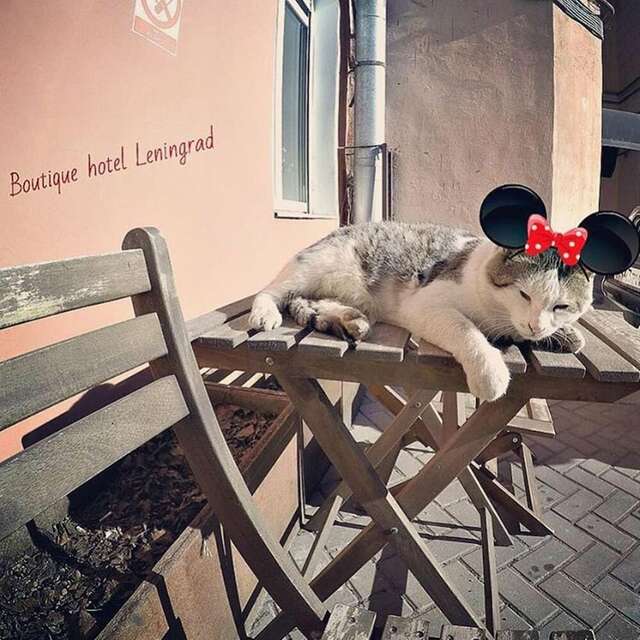 Гостиница Ленинград Санкт-Петербург-10